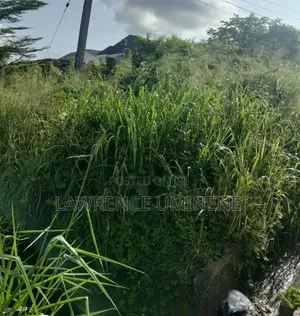 Table Land for Sale