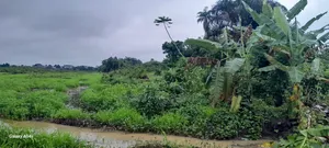 10.5 Acre of Land for Sale