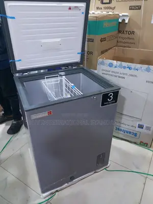 SCANFROST Chest Freezer for Everyday Frozen Provisions