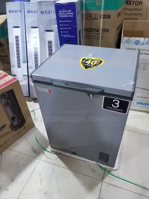 SCANFROST Chest Freezer for Everyday Frozen Provisions