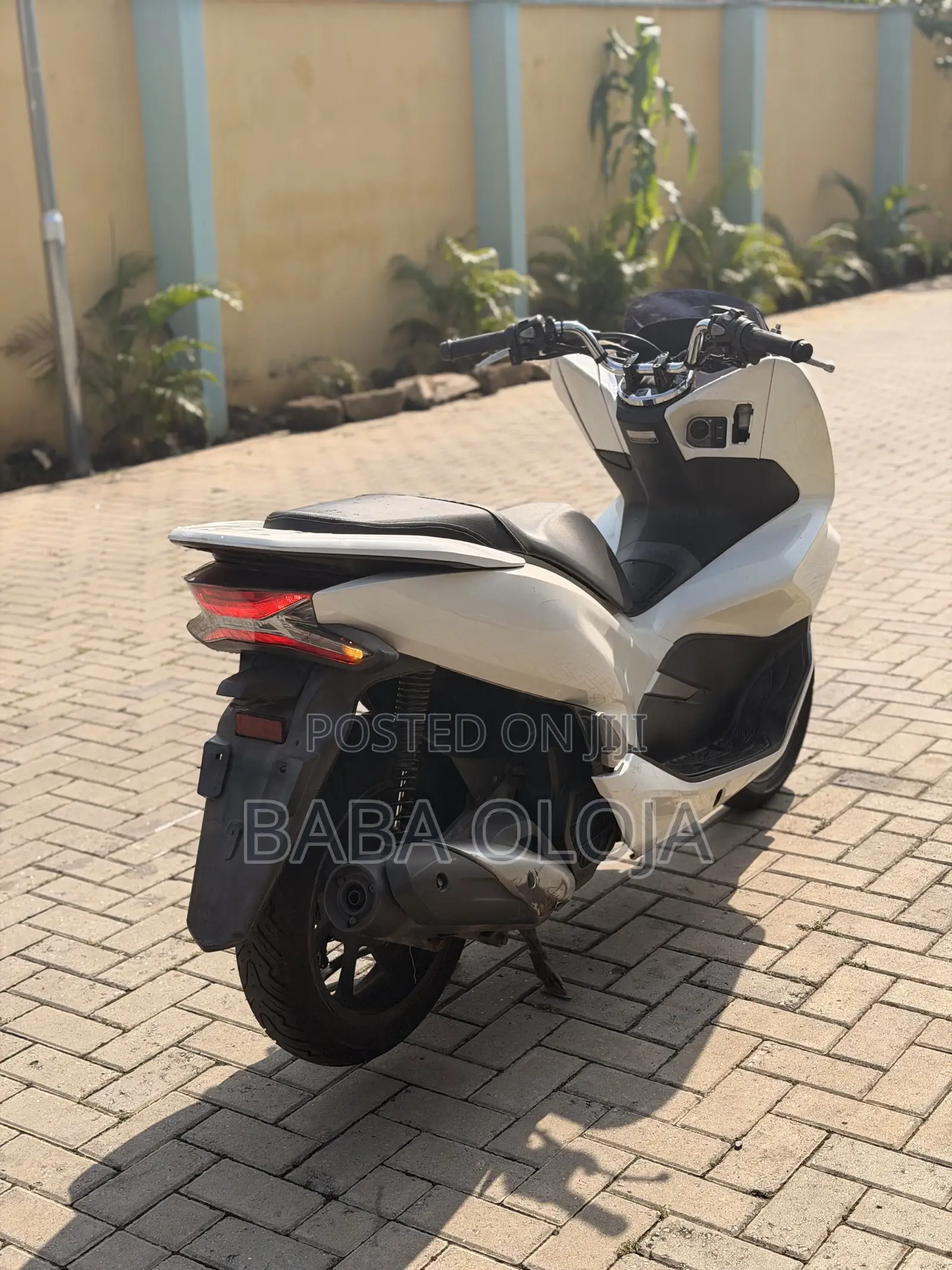 Honda 2020 White