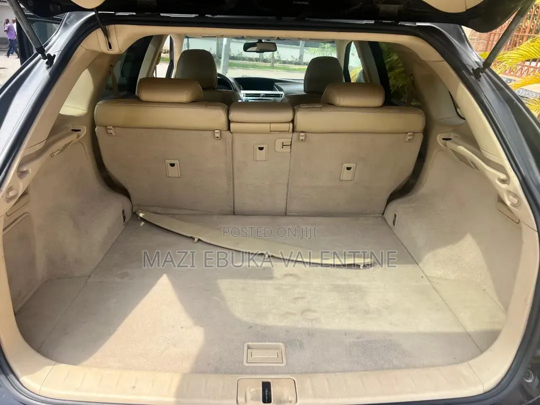 Lexus RX 2010