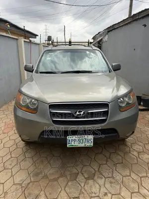 Hyundai Santa Fe 2008 Green