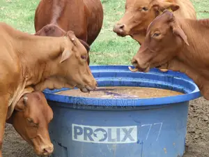 Quality Molasses