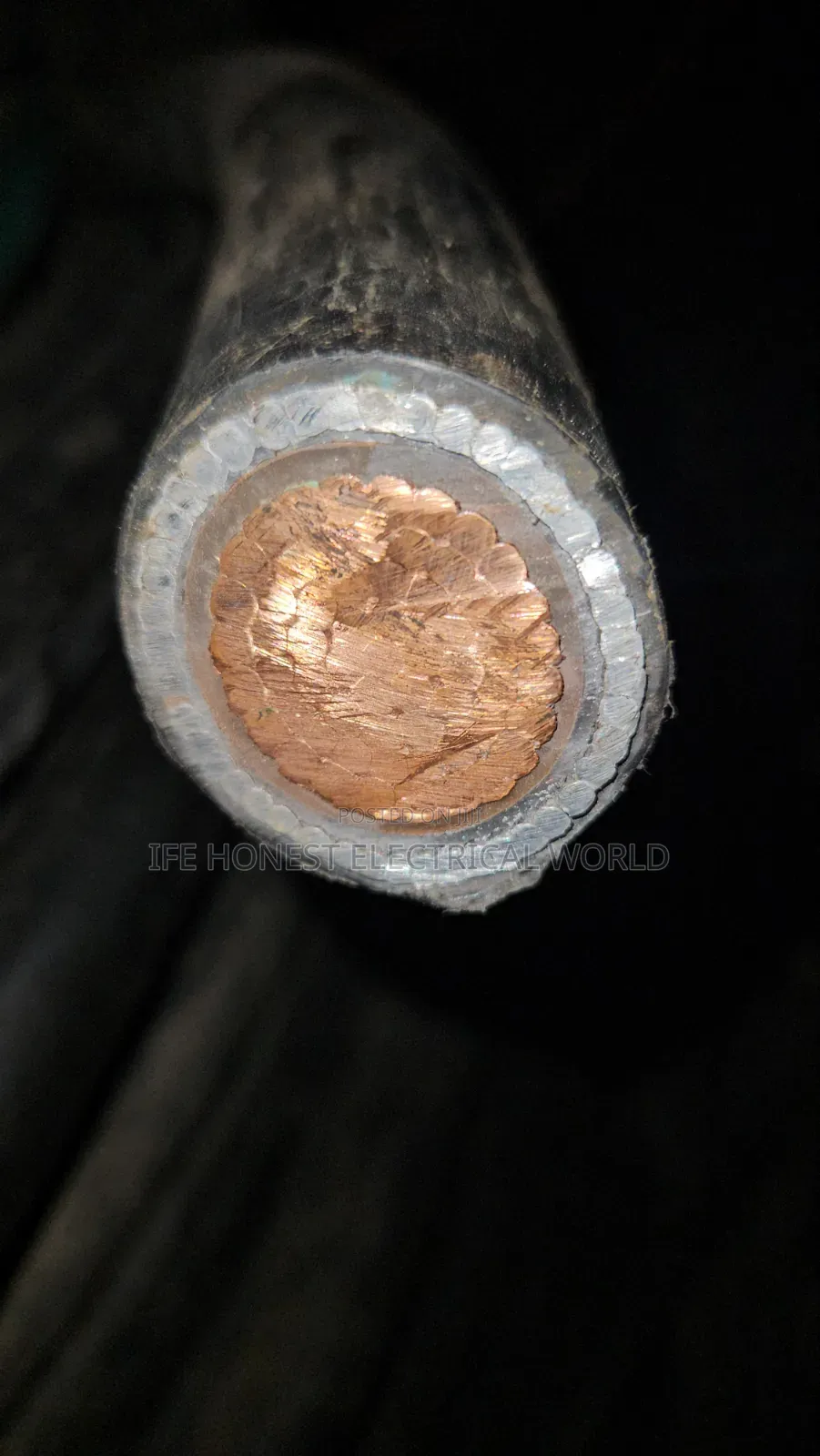 400mm Armored Cable