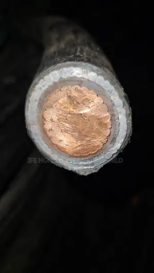 400mm Armored Cable