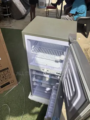 SNOWSEA BCD-166 Fridge for Home Kitchens