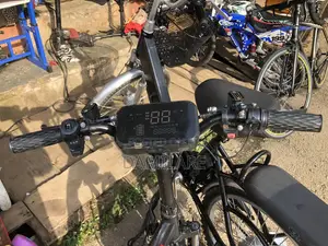 Neptune Electric Bicycle