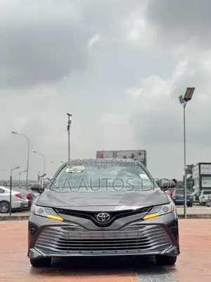 Toyota Camry XLE (2.5L 4cyl 8A) 2019 Brown