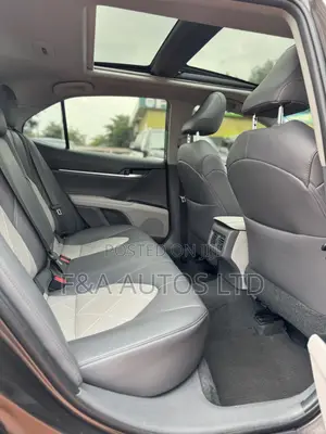 Toyota Camry XLE (2.5L 4cyl 8A) 2019 Brown