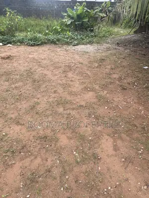 Cheap Land for Sale in Idumu