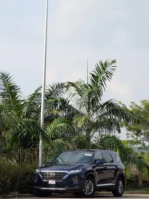 Hyundai Santa Fe 2019 Blue