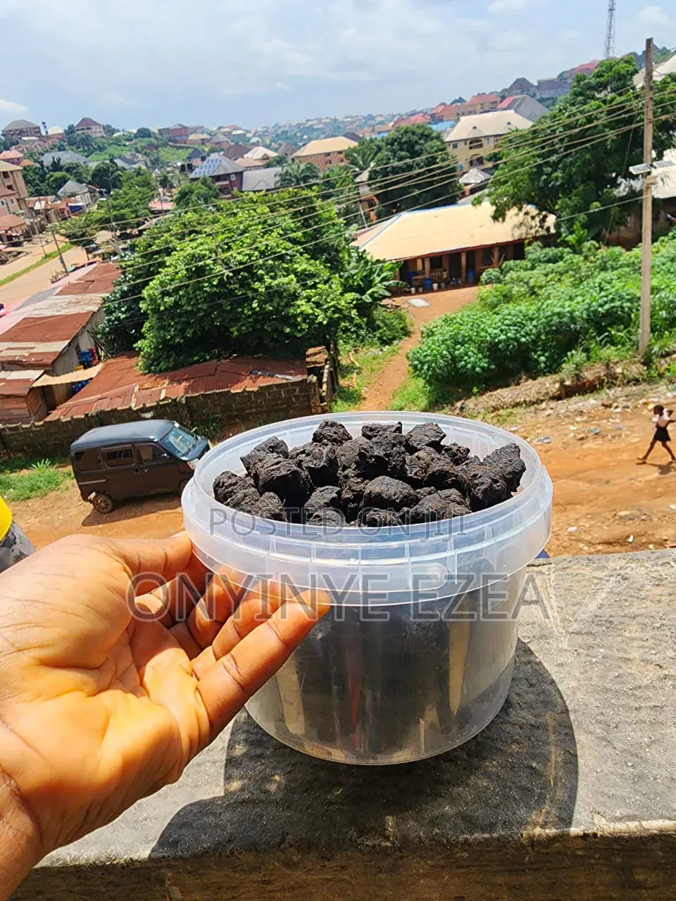Authentic Nigerian Okpeyi (Locust Bean Spice)