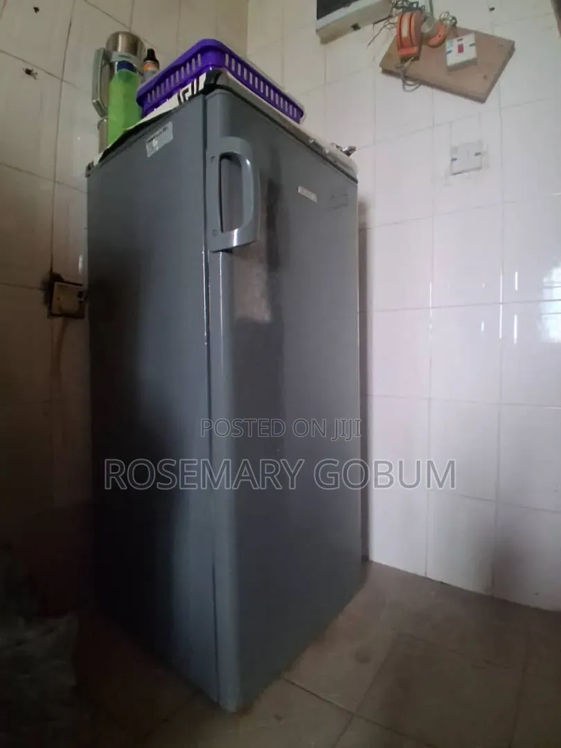 Long Standing Freezer