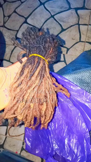 Human Natural Dreadlocks