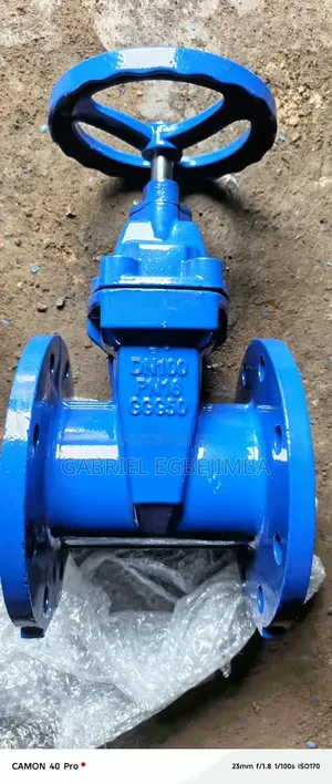 DN 100 Gate Valve
