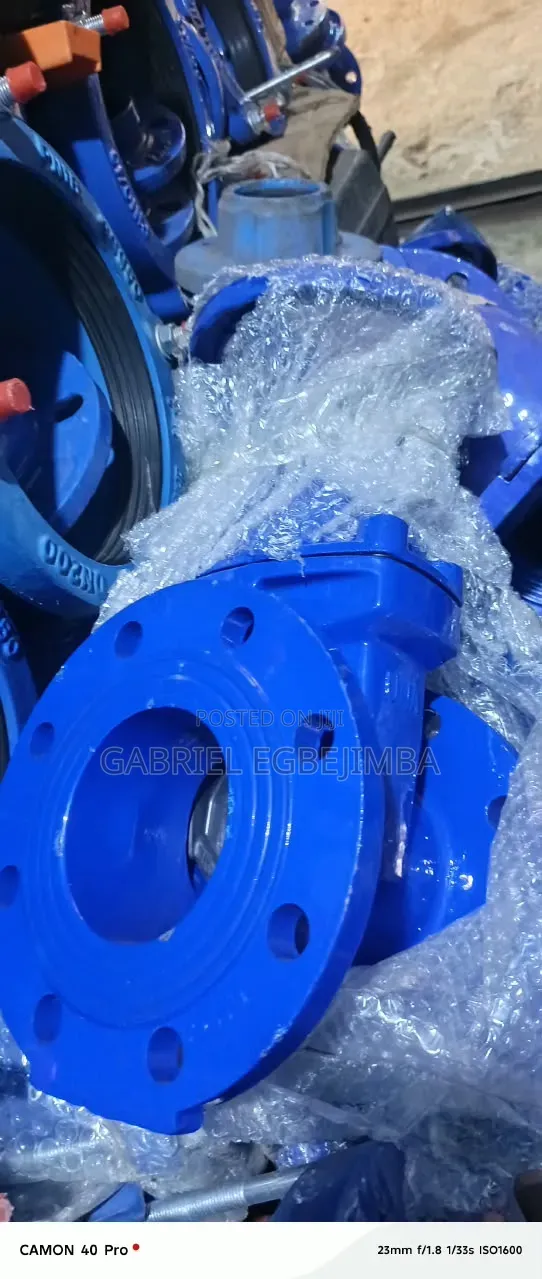 DN 100 Gate Valve