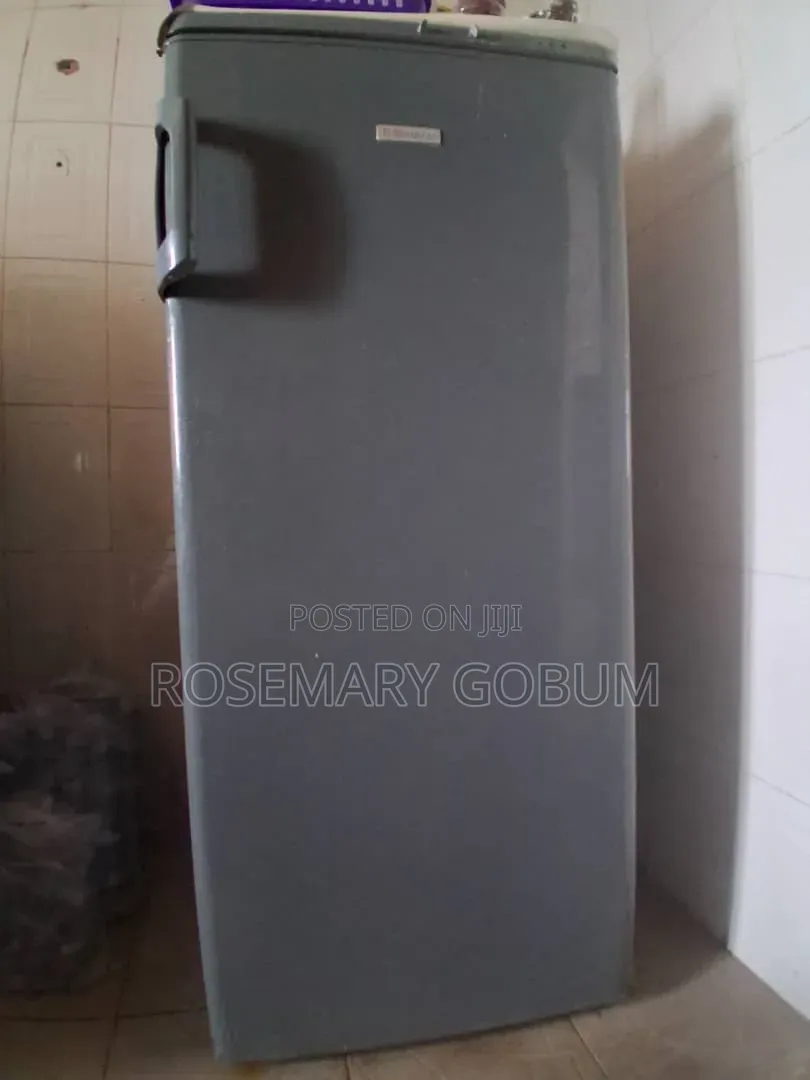 Long Standing Freezer