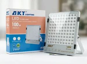 100w Akt Led Floodlights