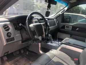 Ford F-150 Platinum  2013 Silver