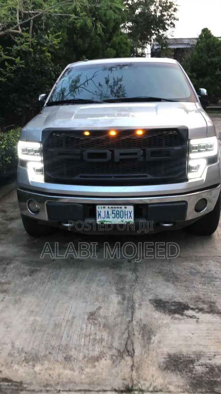 Ford F-150 Platinum  2013 Silver