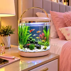 Table Top Aquarium