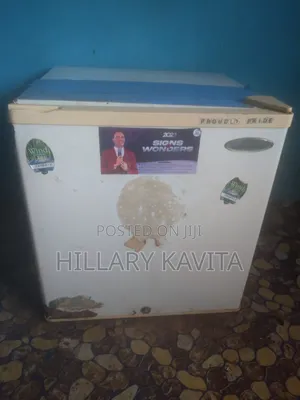 Haier Thermocool Mini Fridge