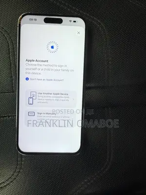 Apple iPhone 14 Pro Max 256 GB Gray