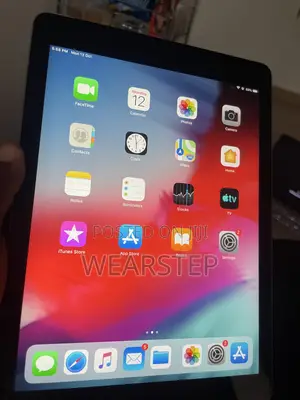 Apple iPad Air 16 GB Gray