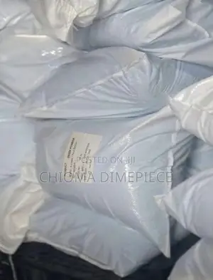 Onion Powder