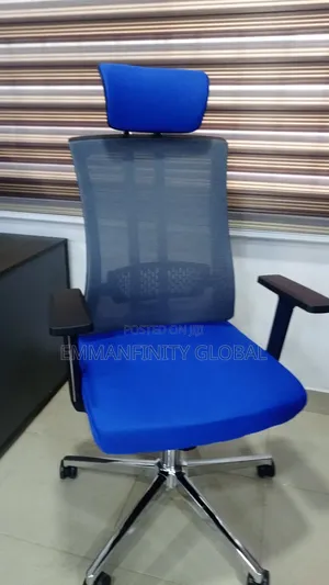 Executive Office Mesh Ergonomics Swivel Chair