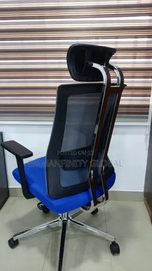 Executive Office Mesh Ergonomics Swivel Chair
