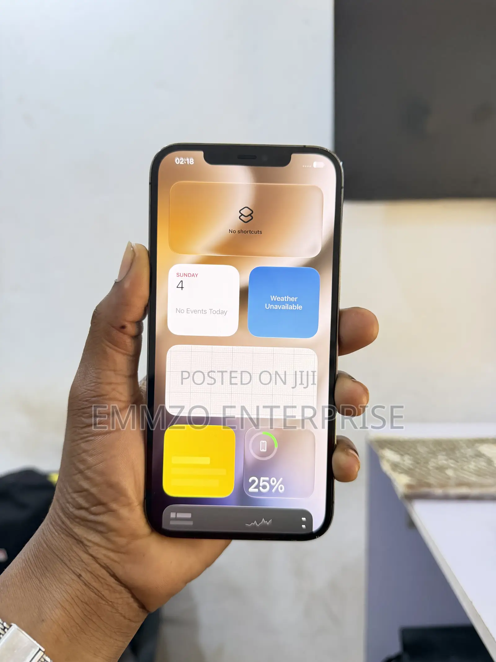 Apple iPhone 12 Pro Max 128 GB Gray