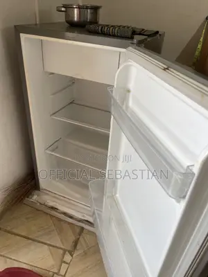 Single-Door Compact Refrigerator