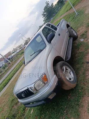 Toyota Tacoma Access Cab 2007 Silver
