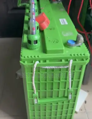 EverGreen Tubular Battery