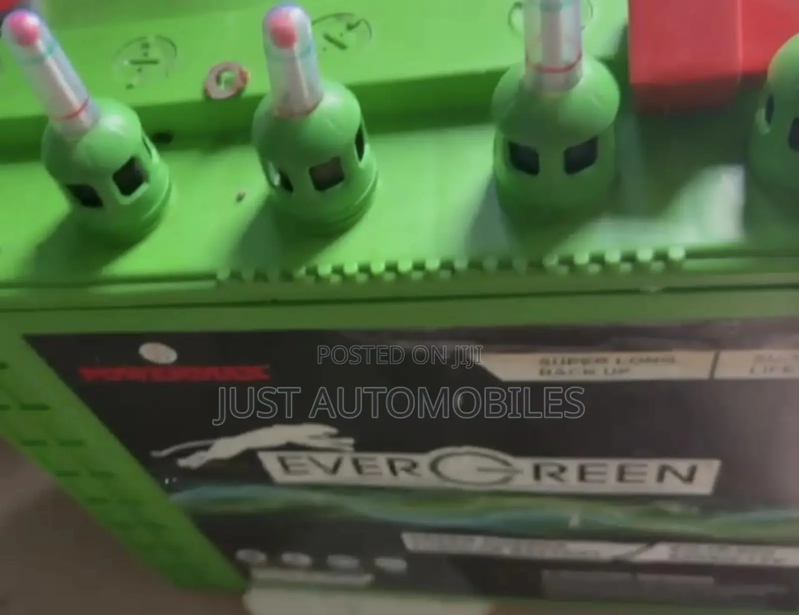 EverGreen Tubular Battery