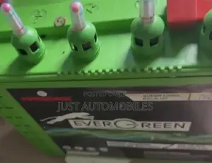 EverGreen Tubular Battery