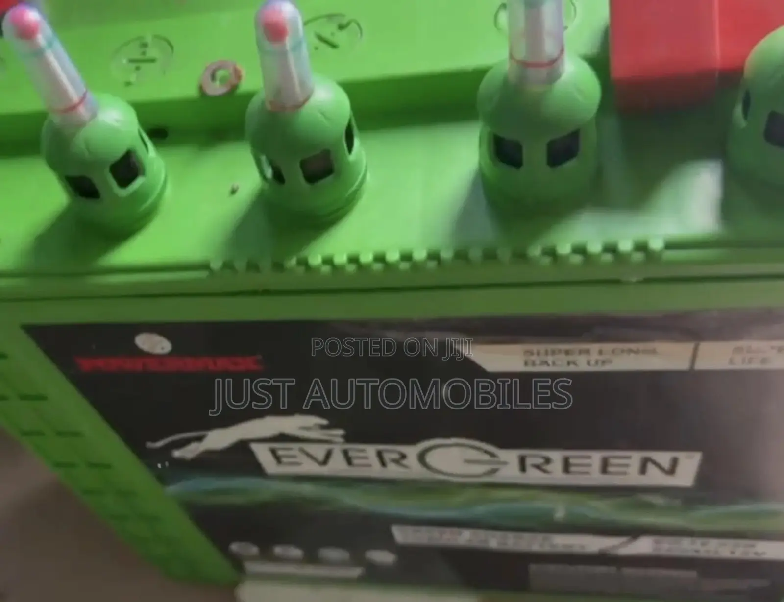 EverGreen Tubular Battery