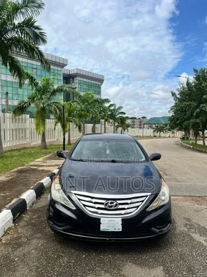 Hyundai Sonata 2010 Black