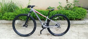 American Tokunbo Specialized Rockhopper MT Bike