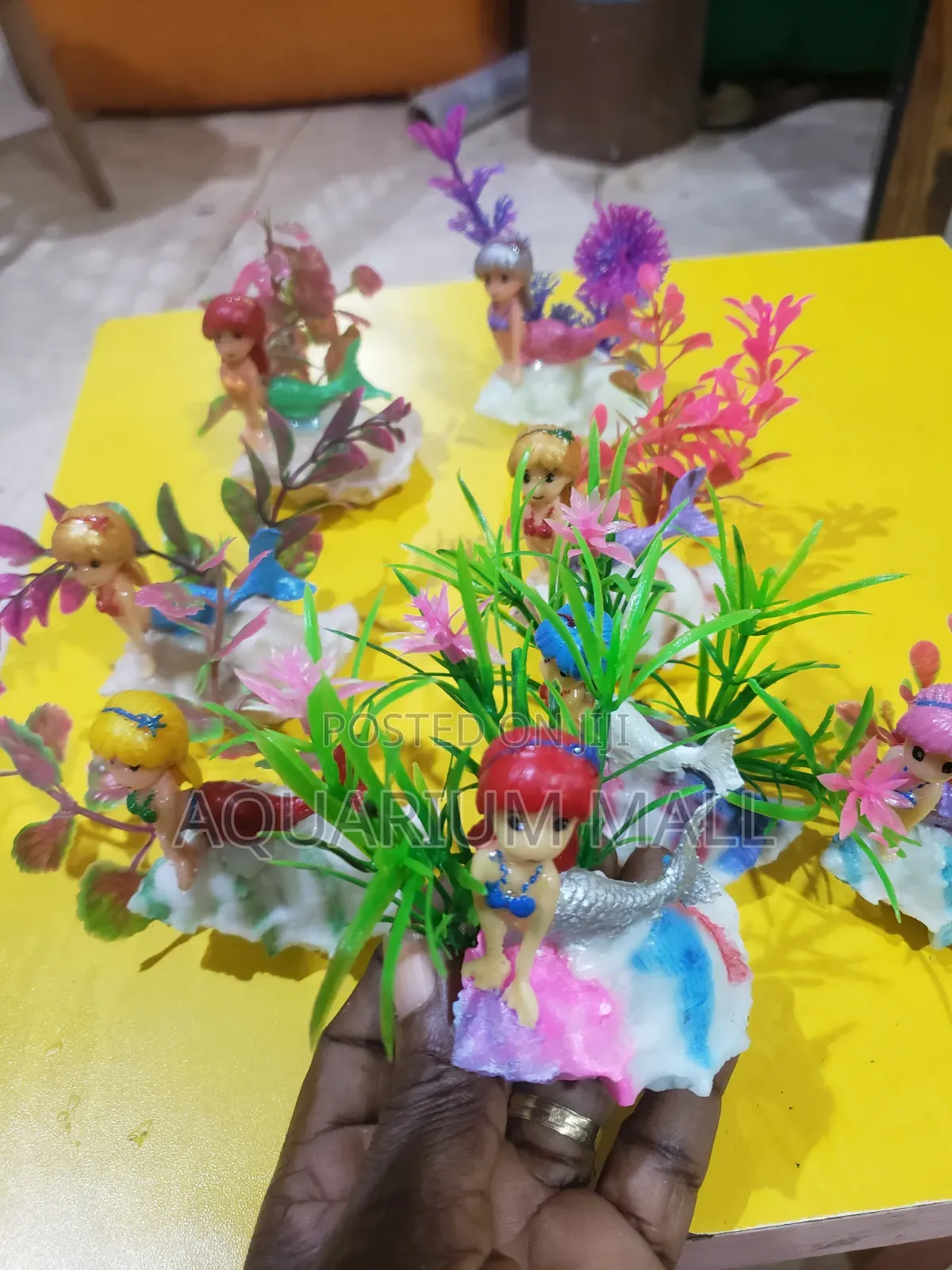 Aquarium Accessories