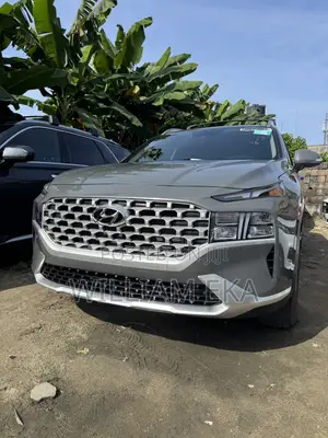 Hyundai Santa Fe Limited 2022 Gray
