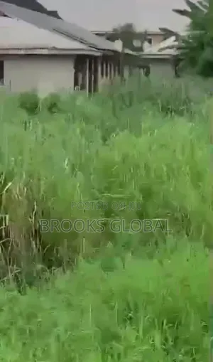 A Flat Land of 100/100 Feet Behind Wetland Hotel Ughelli for Sale