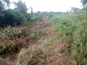 30 Plots of Land for Sale at the Apete Area, Ibadan