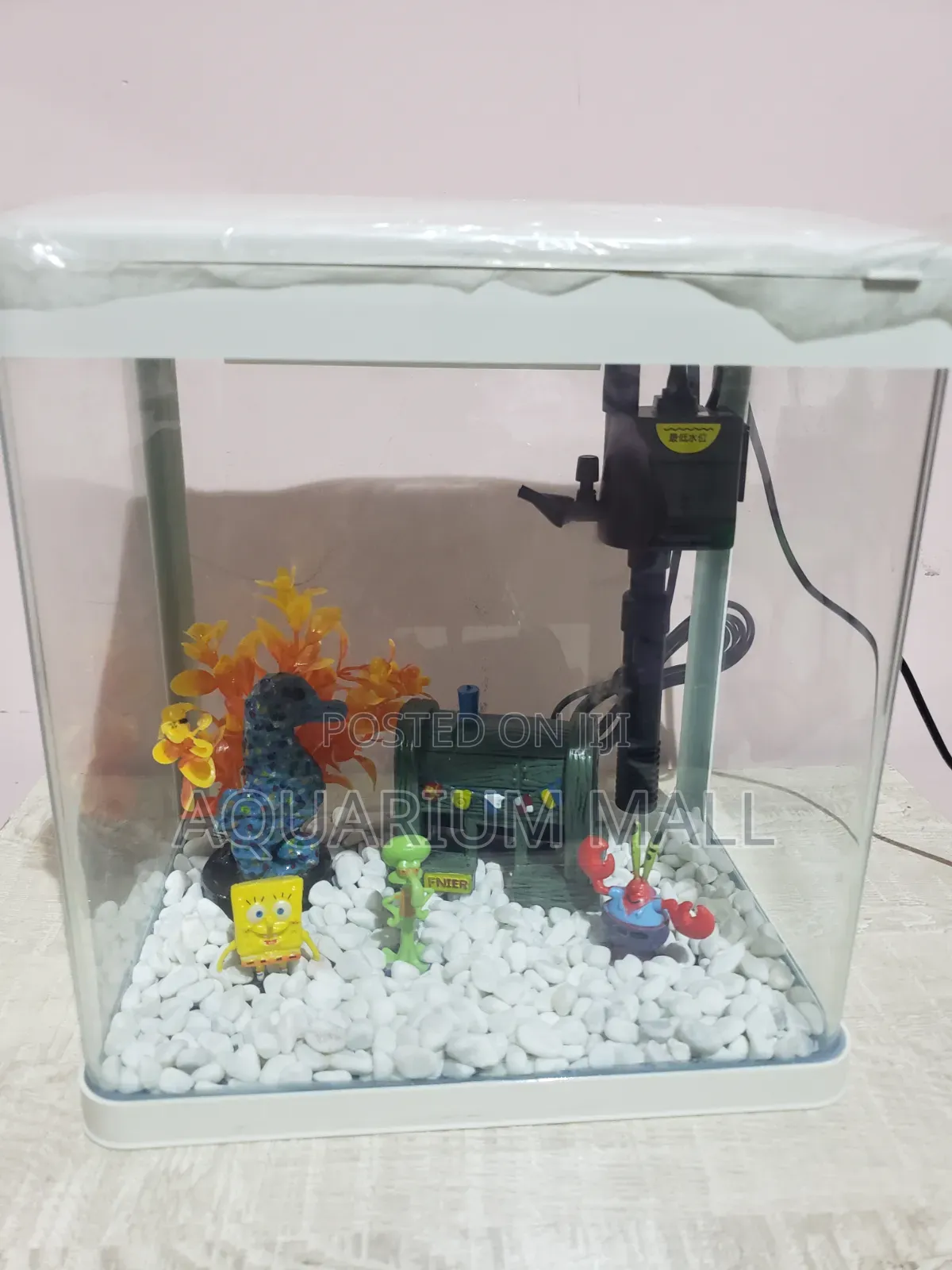 Aquarium Tank