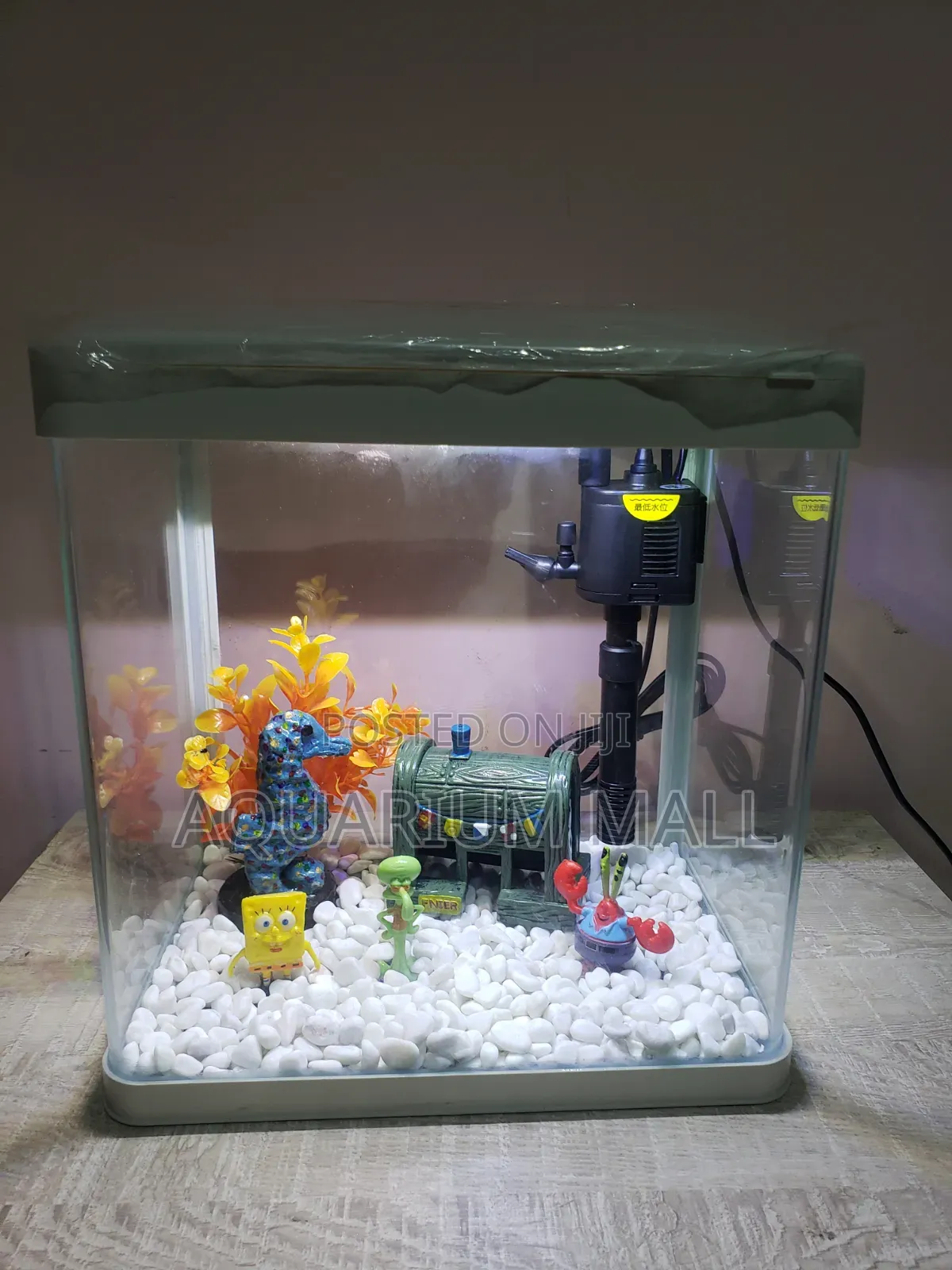 Aquarium Tank
