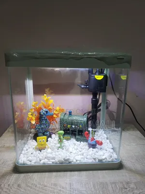 Aquarium Tank