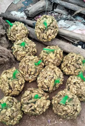 Fresh Ginger