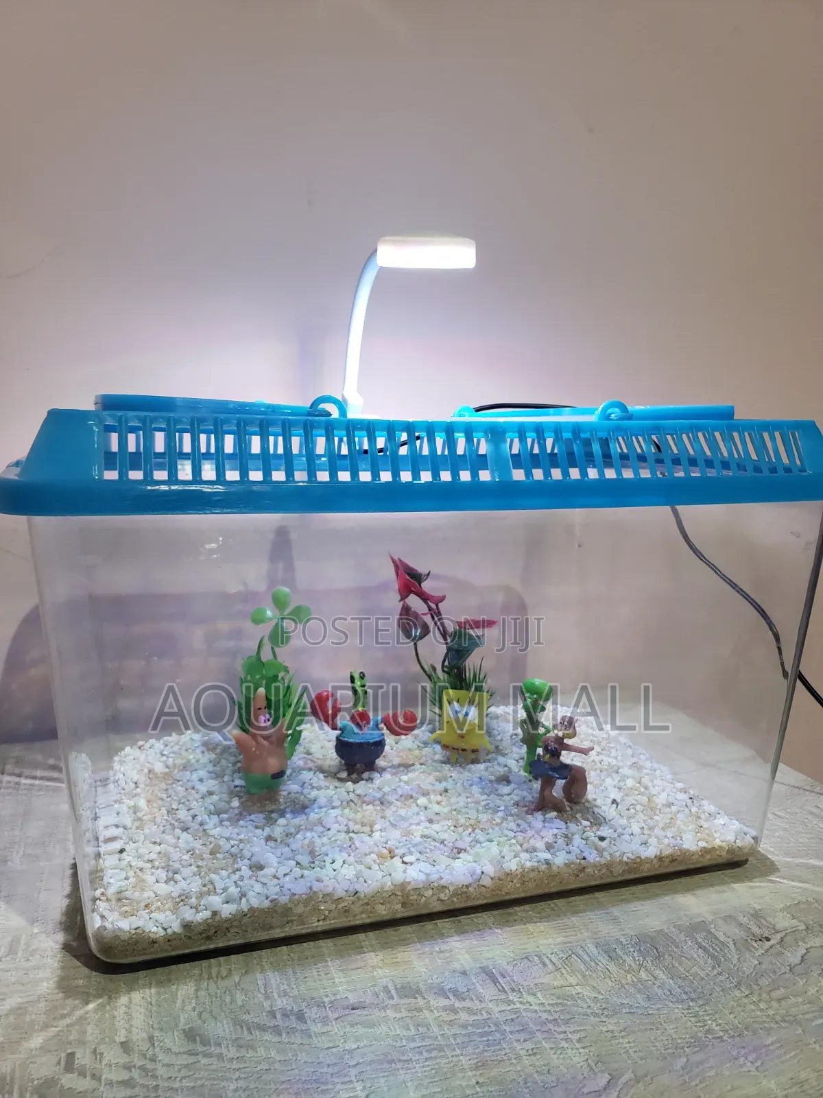 Aquarium Tank